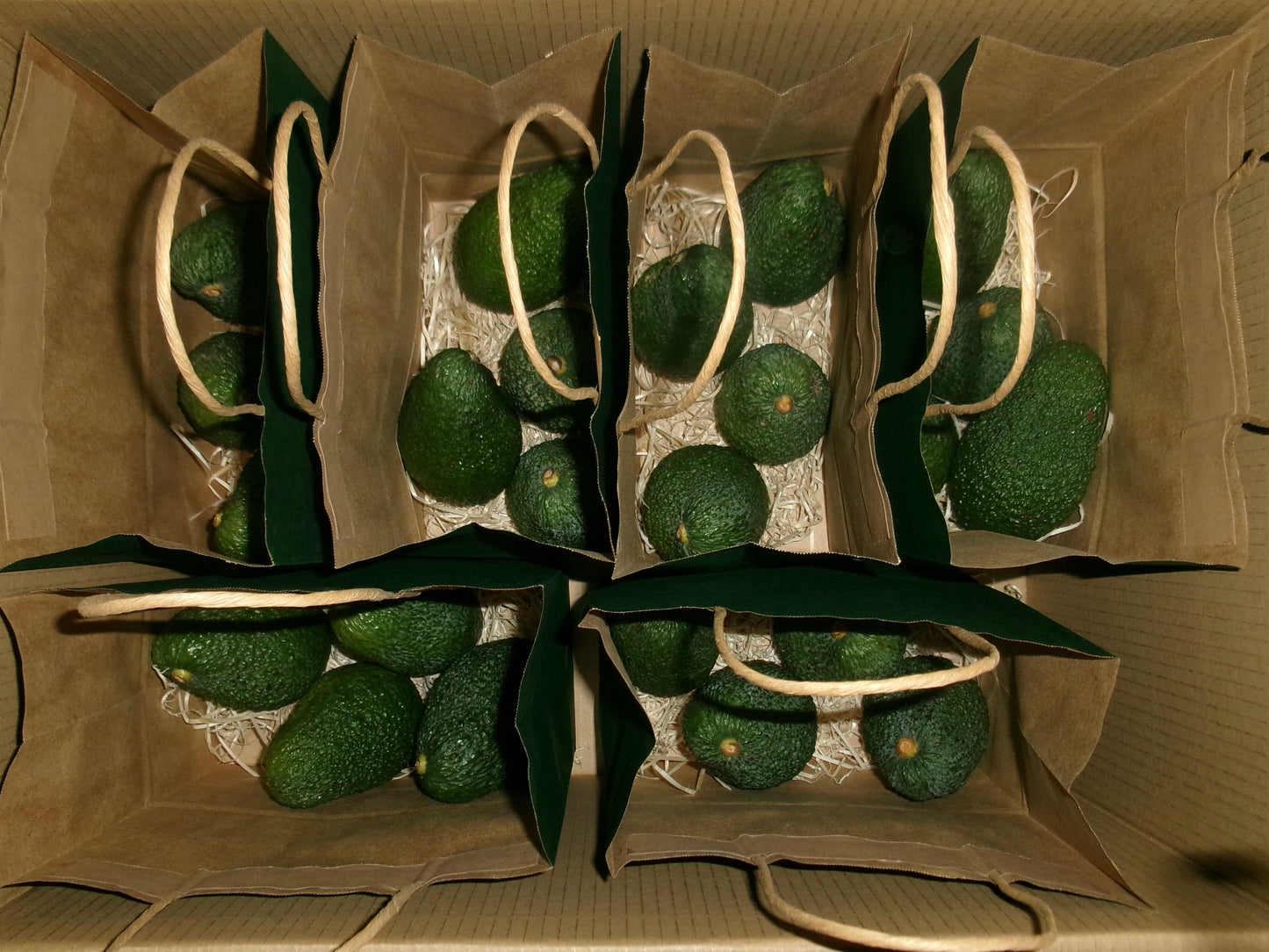 AGUACATE VEQUEZ HASS PREMIUM (CAJA 2KG)