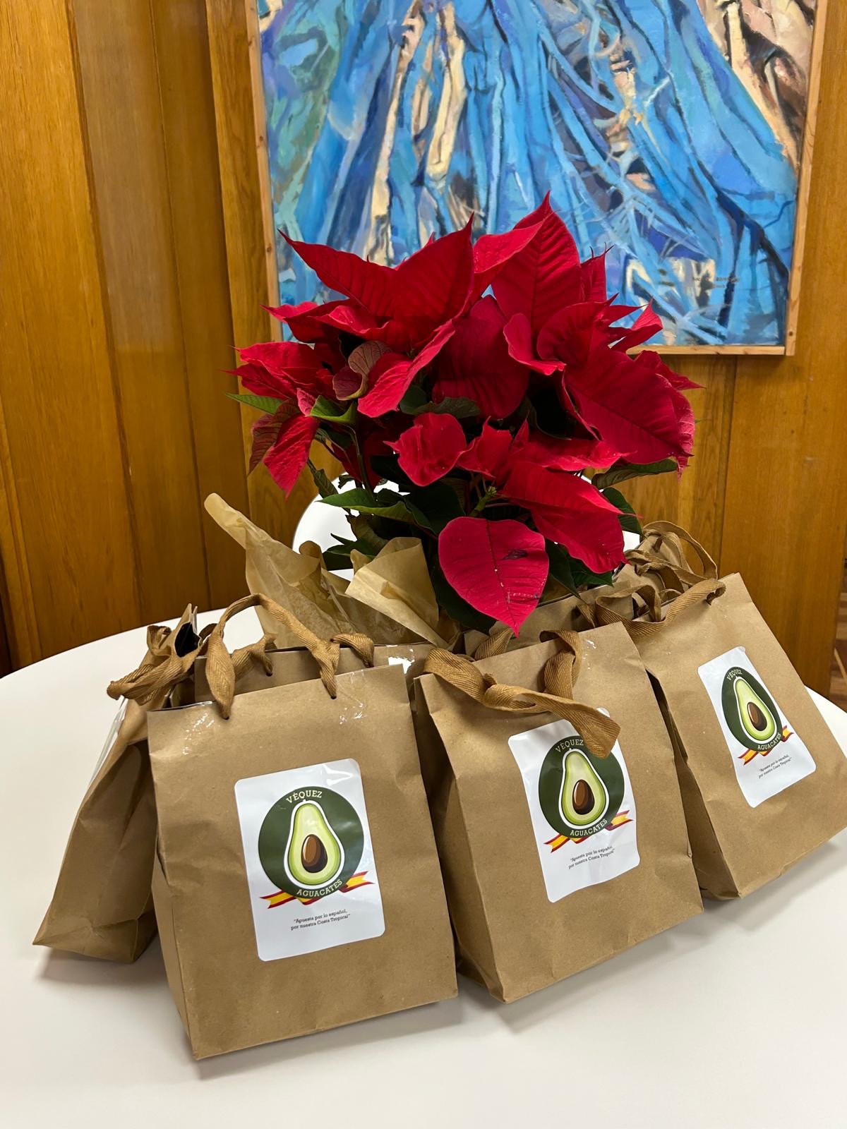 AGUACATE VÈQUEZ HASS PREMIUM